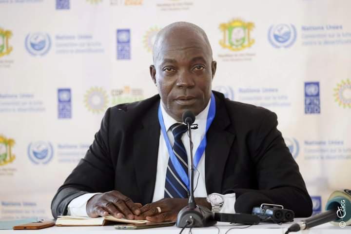 Côte d'Ivoire : Le conseil Café Cacao prévoit la distribution et le planting de 12 millions d'arbres pour lutter contre la déforestation