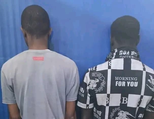 Sénégal : Deux homosexuels surpris en plein ébat mis aux arrêts