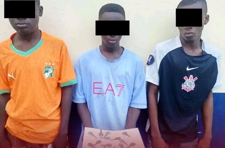 Côte d'Ivoire : Deux Plateaux, le gang de cambrioleurs mineurs mis aux arrêts