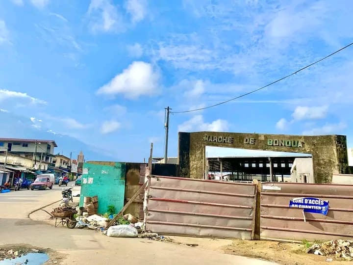 Côte d'Ivoire : Bonoua, un garçonnet tué par une attaque de chiens
