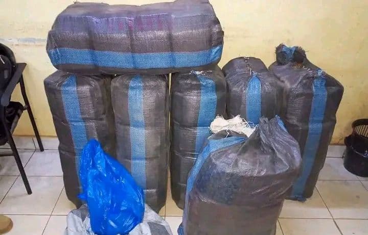 Burkina Faso : Ouagadougou, plus de 400 kg de drogue saisis