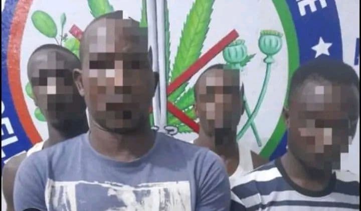 Côte d'Ivoire : Daloa, trois fournisseurs de drogue arrêtés à l’école de gendarmerie de Toroguhé
