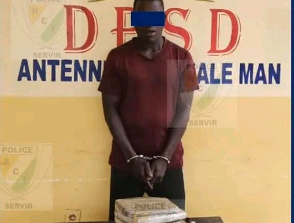 Côte d'Ivoire : Yorodougou, recevant des blocs de cannabis en provenance de la Guinée, un individu mis aux arrêts