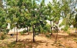 Burkina Faso : Séno, au moins 04 policiers tombés à Yakouta