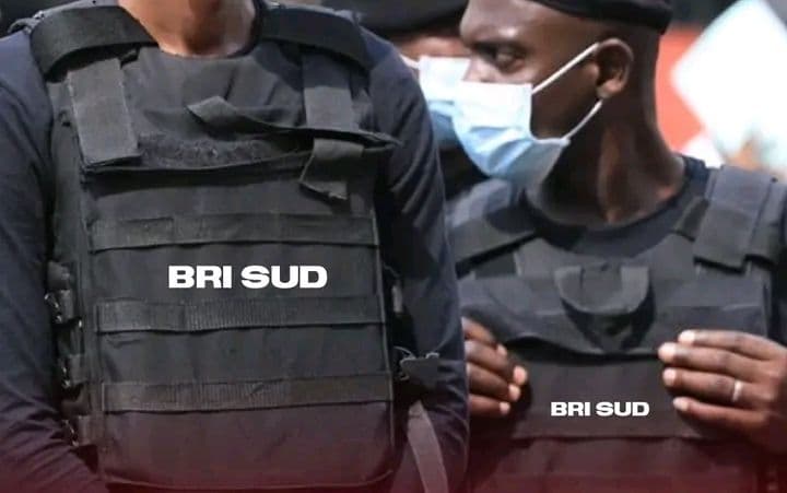 Côte d'Ivoire : Entre Gagnoa et Abidjan, la BRI SUD met fin aux activités criminelles d'un gang