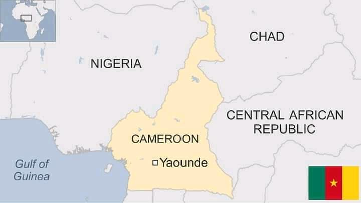 Cameroun : Au moins 20 morts dans une attaque de séparatistes anglophones