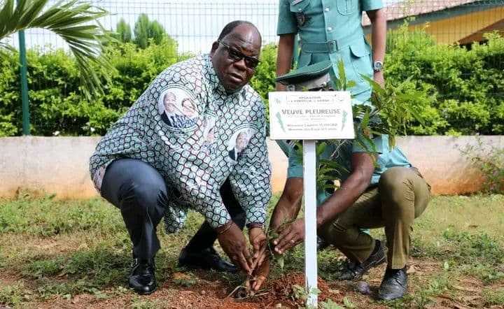 Côte d'Ivoire : Le ministre Tchagba échange avec ses collaborateurs du N'Zi et procède à un planting à Arrah