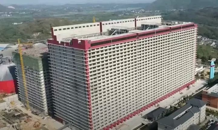 Chine : Pékin met en service la plus grande porcherie du monde