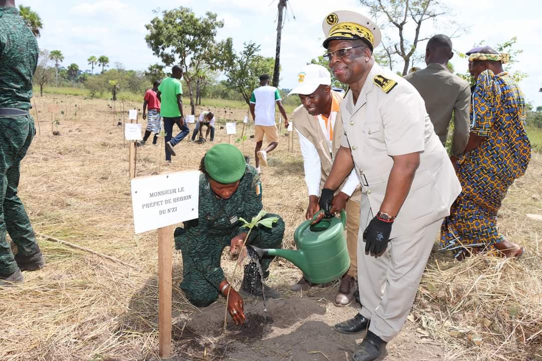 Côte d'Ivoire : Dimbokro, célébration de la journée nationale de la paix couplée à l'opération de planting d'arbres à Ediakro