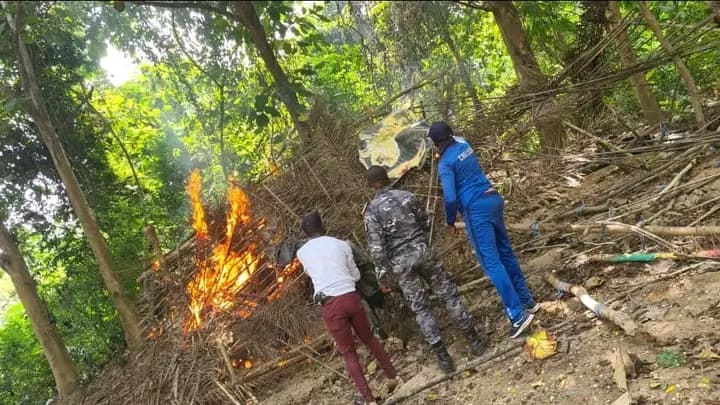 Côte d'Ivoire : Daoukro, un fumoir détruit et un individu interpellé pour détention et consommation illégale des produits stupéfiants