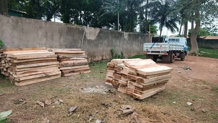Côte d'Ivoire : Un important chargement de bois issu du sciage à façon à Gaga saisi