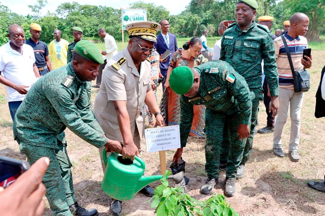 Côte d'Ivoire : La Journée Nationale de l'Arbre édition 2024 célébrée à Soungassou