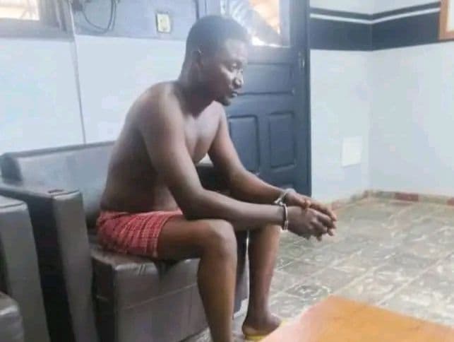 Côte d'Ivoire : Le commanditaire de l'agression des agents de la SODEFOR dans la forêt classée de la Davo mis aux arrêts