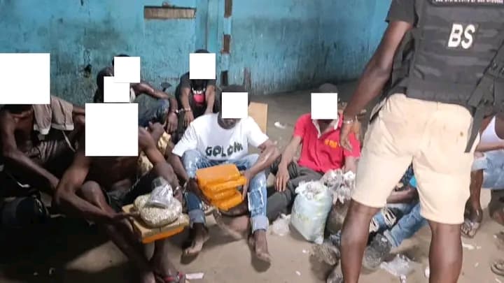 Côte d'Ivoire : À Abobo, un vaste fumoir détruit et 10 individus interpellés
