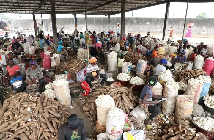 Côte d'Ivoire : Le gouvernement poursuit ses efforts dans la sécurité alimentaire