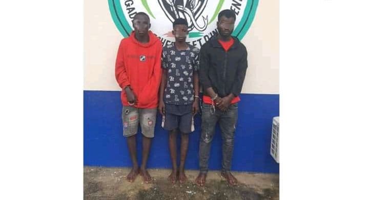 Côte d'Ivoire : Yopougon, un gang de voleurs nocturnes démantelé
