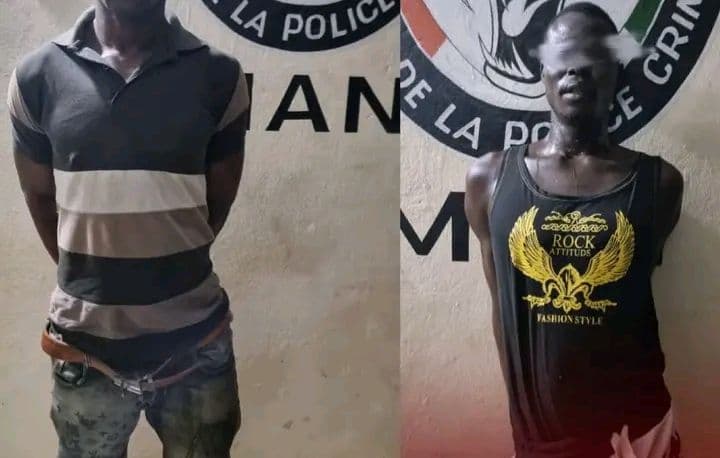 Côte d'Ivoire : Guiglo, interpellation de deux individus pour vol à main armée à Zagné
