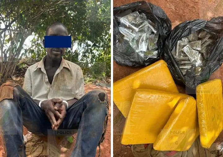 Côte d'Ivoire : En possession d'une grande quantité de cannabis, un individu interpellé à San-Pédro