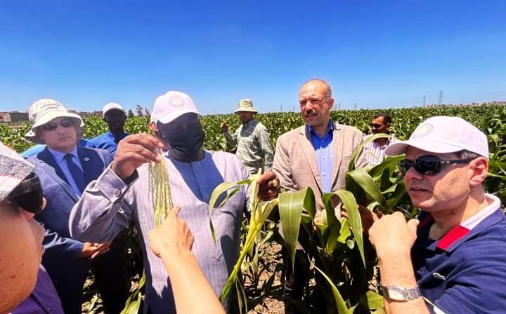Egypte : Le ministre Adjoumani s'inspire de l'expérience égyptien en matière d'agriculture