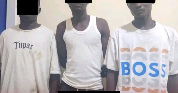 Côte d'Ivoire : Koumassi, Chiégal, chef de bande armée à la machette interpellé avec ses acolytes