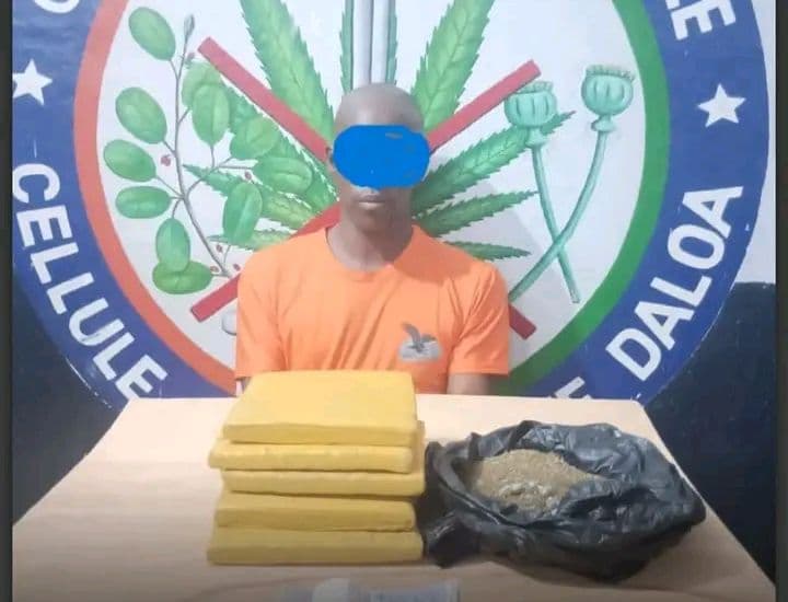 Côte d'Ivoire : Daloa, un baron de la drogue arrêté par la gendarmerie