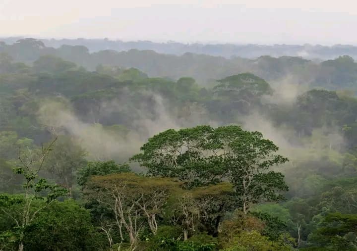 Côte d’Ivoire : Taï, le corps d’un réparateur de téléphone retrouvé à son domicile