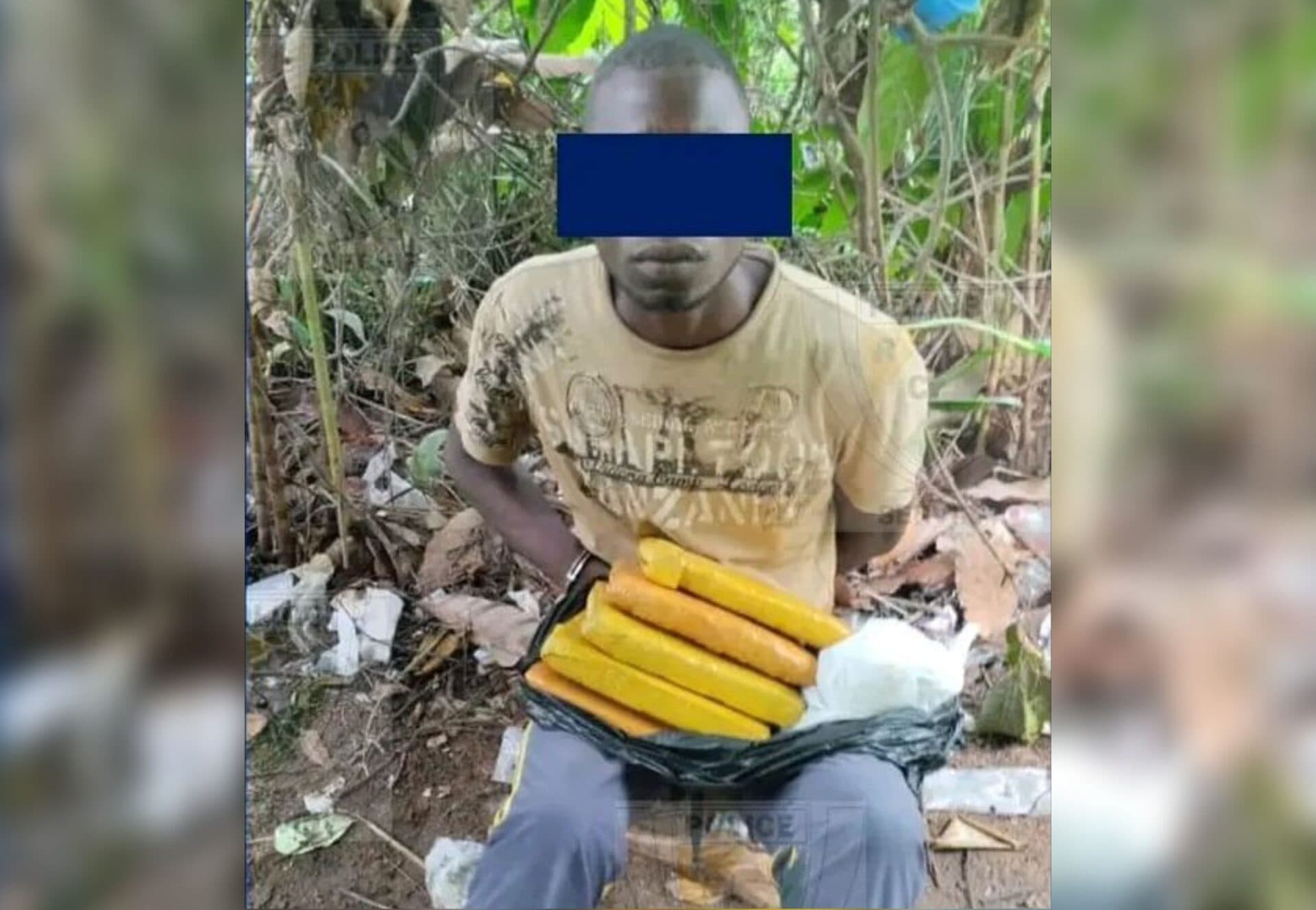 Côte d'Ivoire : Daloa, un homme appréhendé avec cinq kilogrammes de cannabis en sa possession