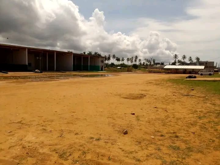 Côte d'Ivoire : Jacqueville, exigeant des places pour leur commerce, des femmes bloquent l’accès à la ville