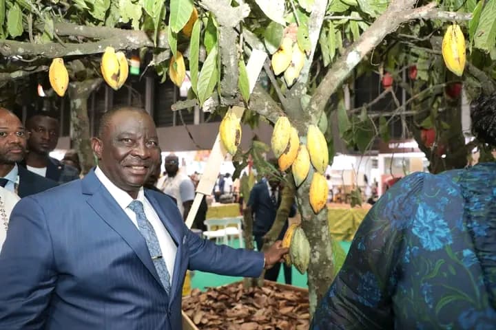 Côte d'Ivoire : Le cacao fixé à 1800f/kg
