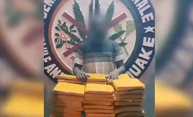 Côte d'Ivoire : Bouaké, 66 blocs de cannabis saisis au domicile d'un dealer