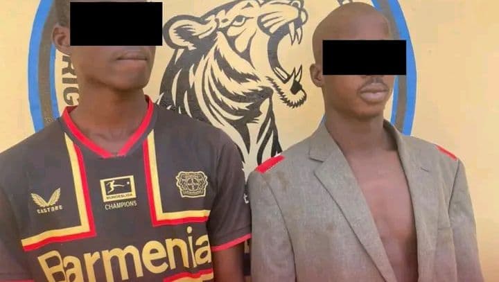 Côte d'Ivoire : Korhogo, deux individus mis aux arrêts pour meurtre après une bagarre nocturne