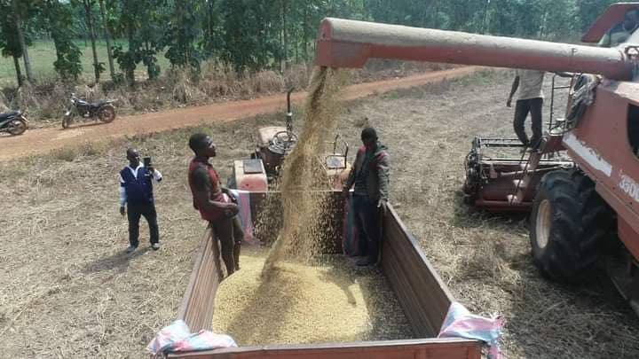 Côte d'Ivoire : Campagne soja 2022, le gouvernement conduit une mission au profit des producteurs de la région du Bafing