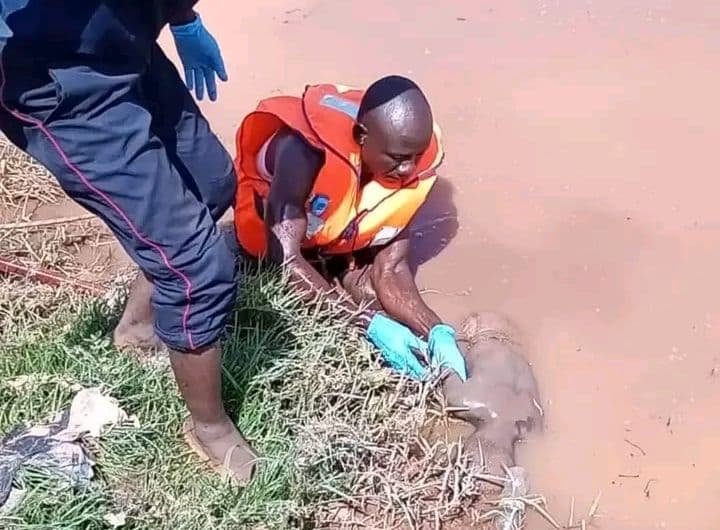 Burkina Faso : Ouagadougou, un enfant mort noyé au secteur 09 dans le quartier Ouidi