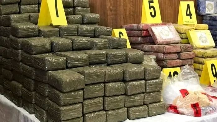 Sénégal : Kidira, saisie de drogue provenant d'un pays voisin d'une valeur de plus de 90 milliards fcfa