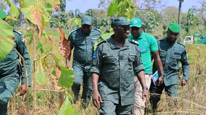 Côte d'Ivoire : Le DG de la SODEFOR en mission de supervision des activités du centre de gestion de Bouaké
