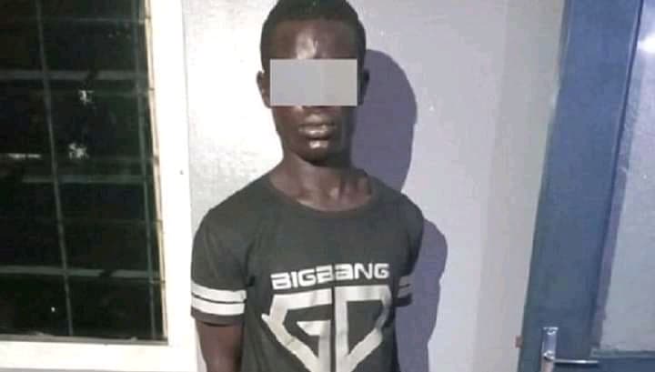 Côte d’Ivoire : Diabo, le présumé auteur du crime d'une restauratrice arrêté par la gendarmerie de Botro