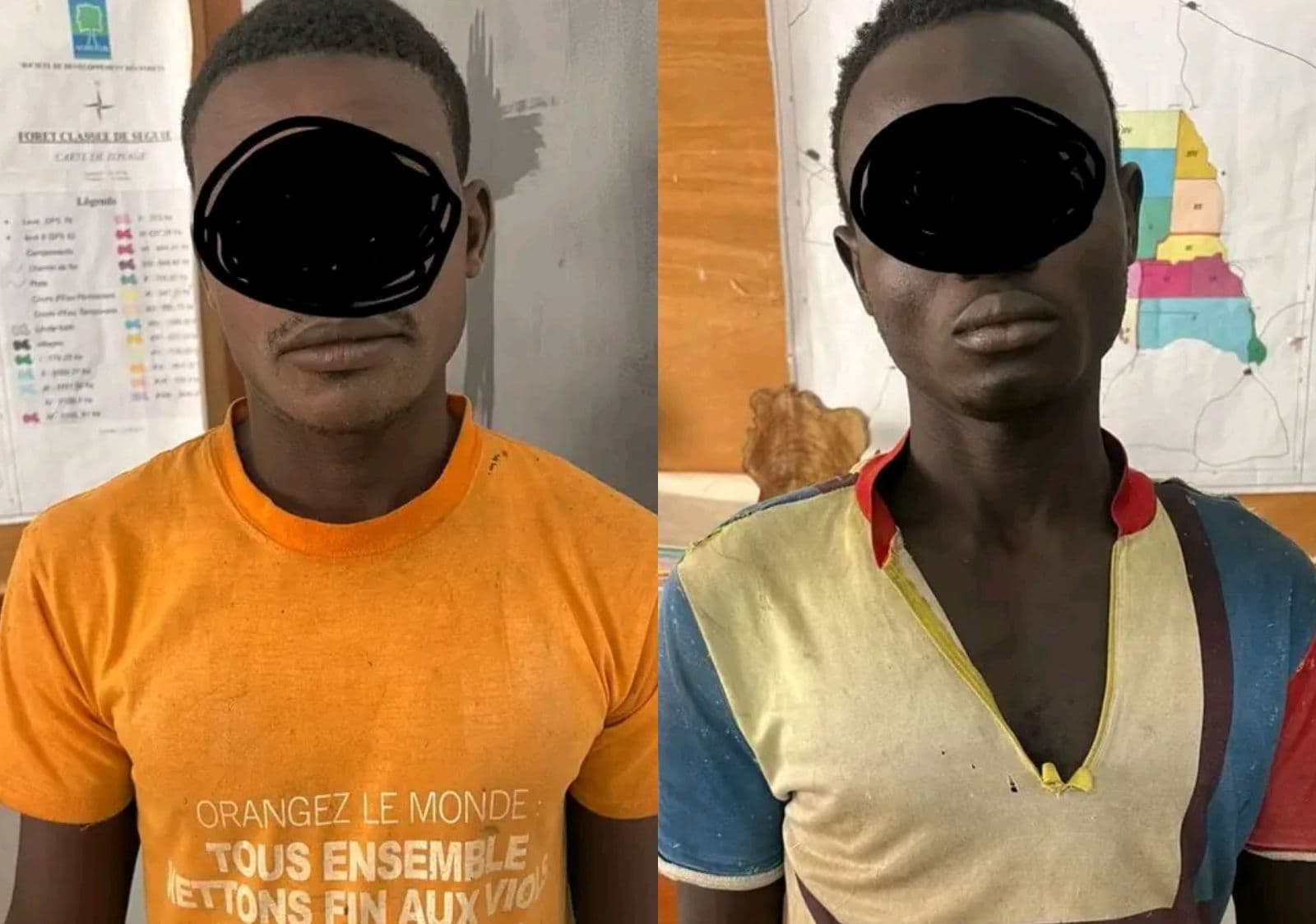 Côte d'Ivoire : 02 délinquants auteurs de défrichements appréhendés dans la forêt classée de Seguié