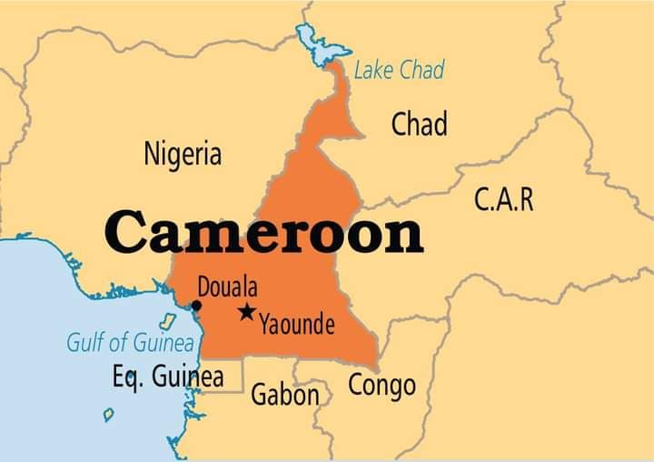 Cameroun : Deux militaires tués par des terroristes