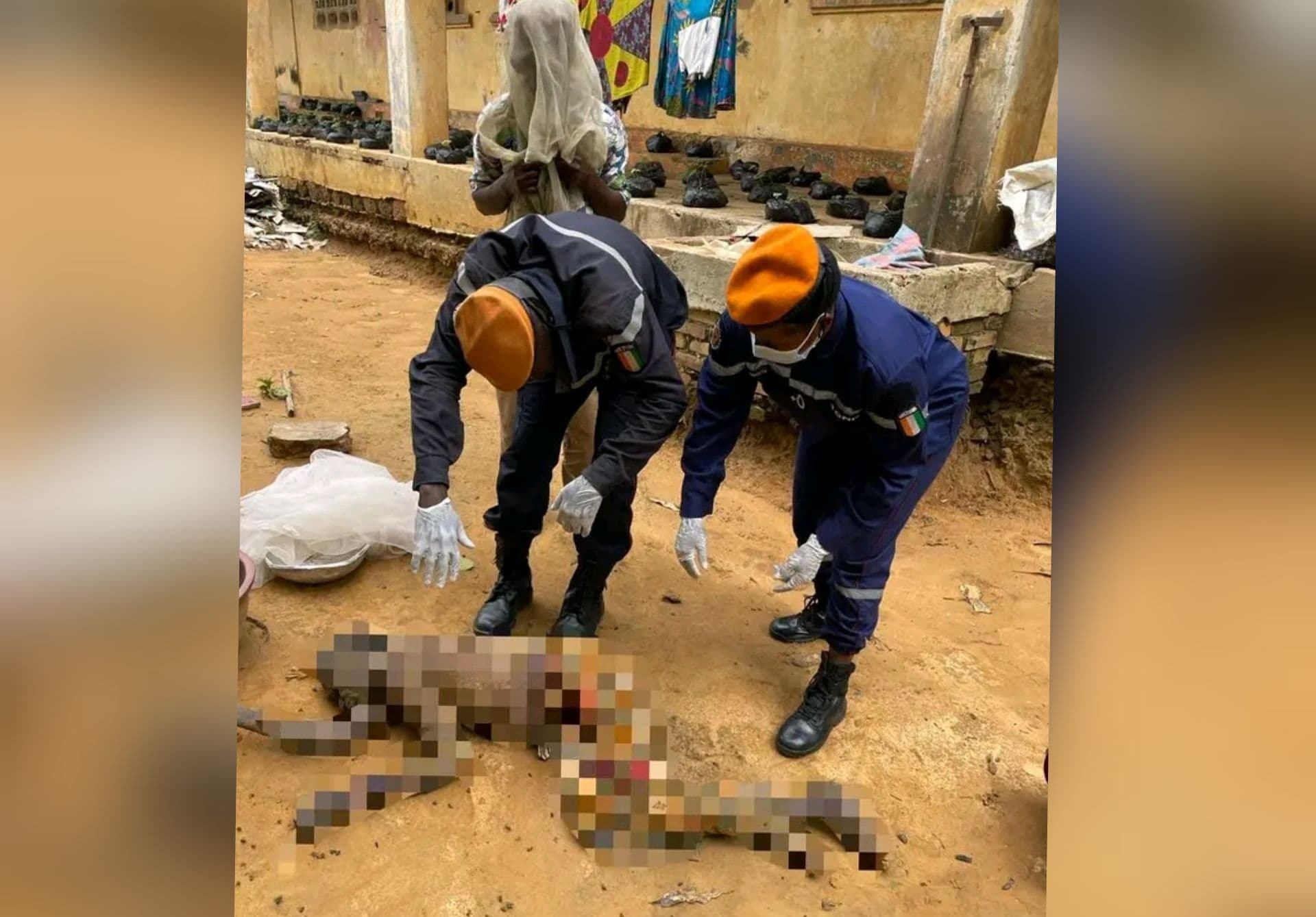 Côte d'Ivoire : Dabou, des abeilles attaquent mortellement le gardien d'une école et blessent sa compagne aveugle