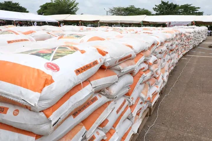 Côte d'Ivoire : Cavally, 5500 producteurs reçoivent des semences améliorées et des intrants agricoles