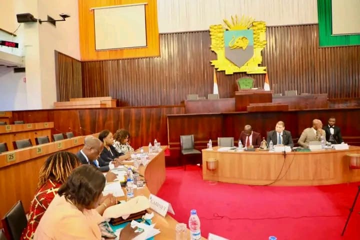 Côte d'Ivoire : Deux codes de déontologie de professions infirmières, Sage-Femmes et Maïeuticiens présentés