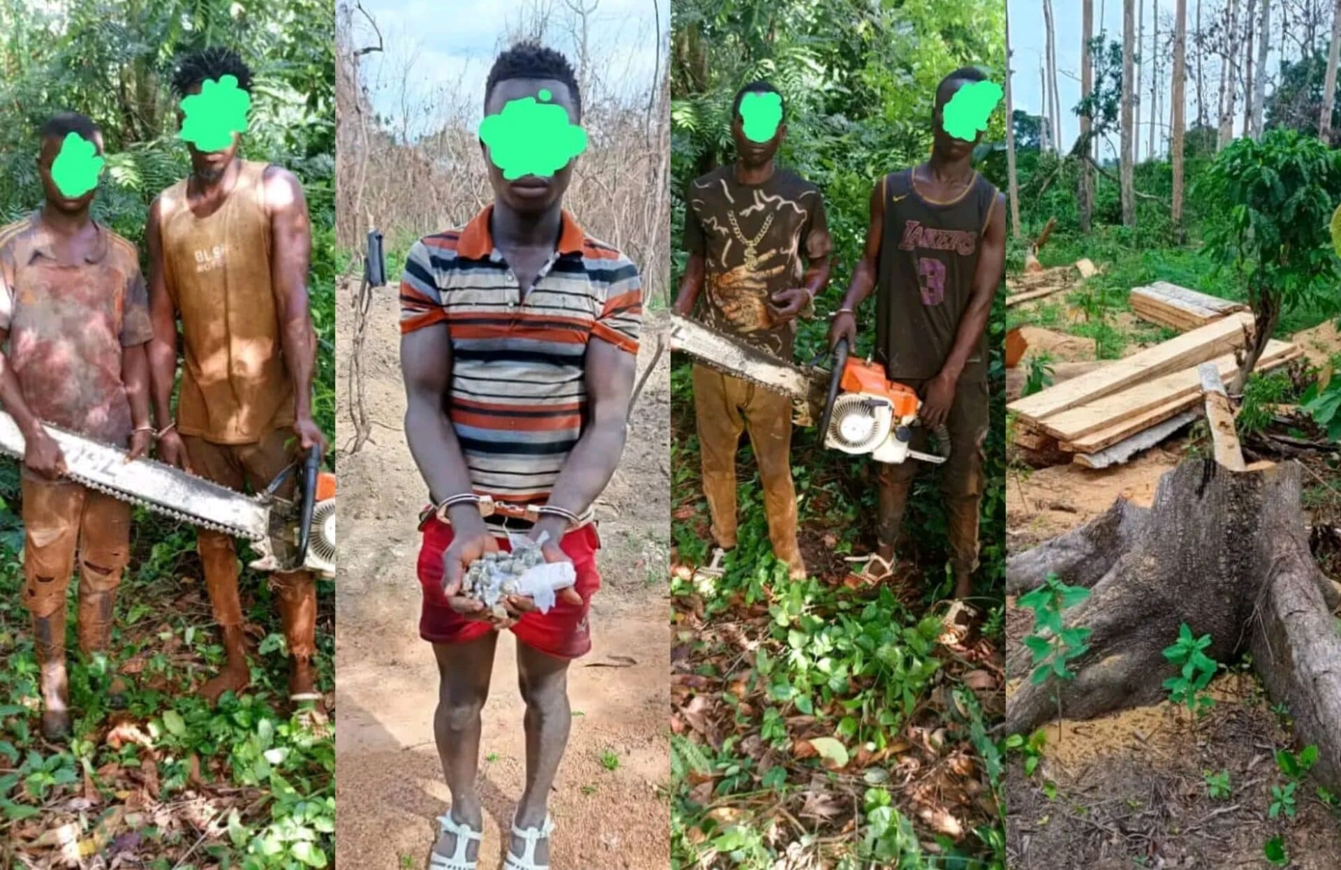 Côte d'Ivoire : 36, 24 et 06 mois de prison pour les fossoyeurs des forêts classées de la Davo et de Niegré