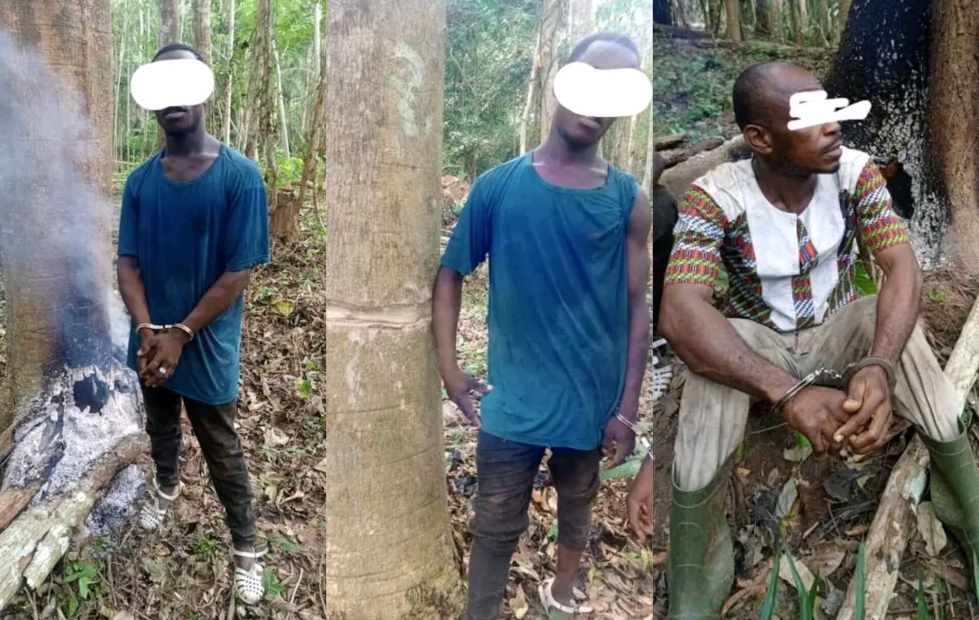 Côte d'Ivoire : Deux délinquants appréhendés dans la forêt classée de Mopri