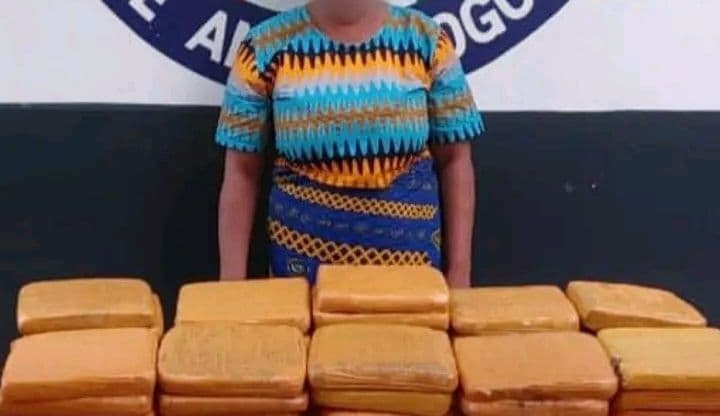 Côte d'Ivoire : Man, une dame interpellée avec 41 blocs de cannabis