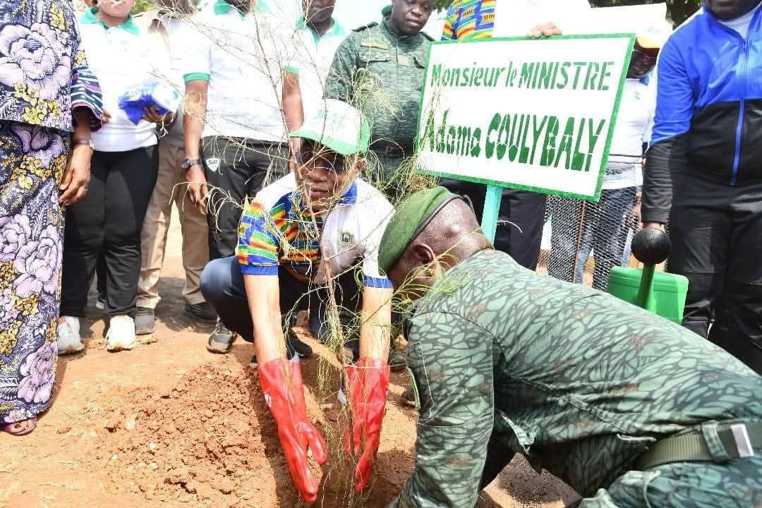 Côte d'Ivoire : Dimbokro, 7ème édition des journées de l'écologie et des changements climatiques