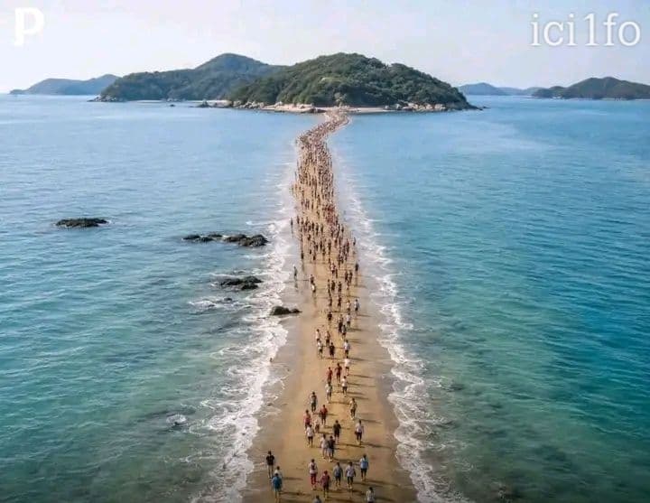 Corée du Sud : Le « Miracle de Djindo », quand la mer s'ouvre pendant quelques heures 