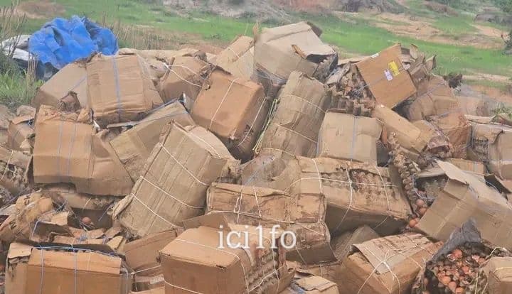 Burkina Faso : Gaoua, plus de 13,9 millions FCFA d’œufs prohibés retirés du marché