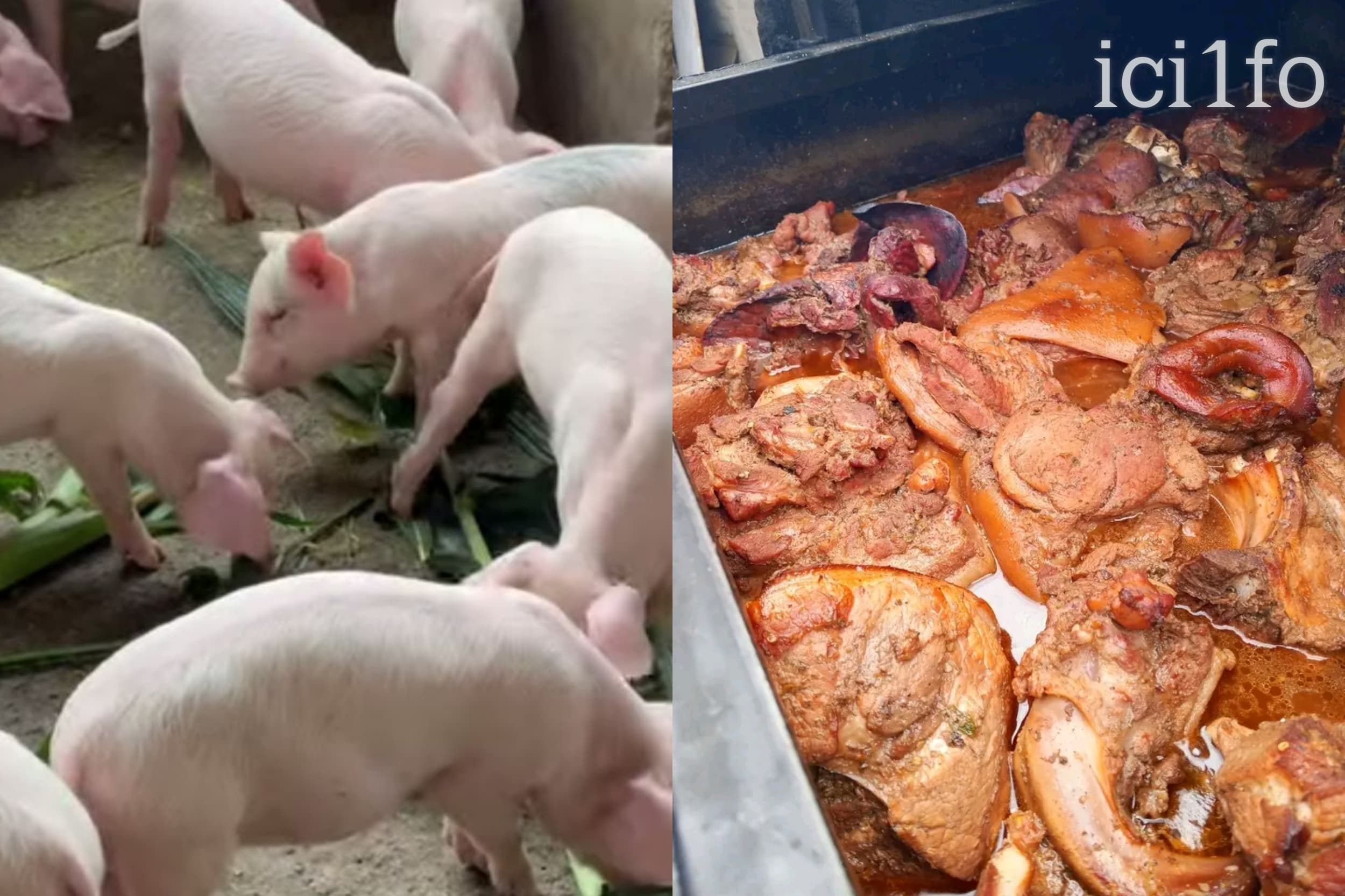 Côte d'Ivoire : Ferké sans porc, Yopougon tremble et retient son souffle